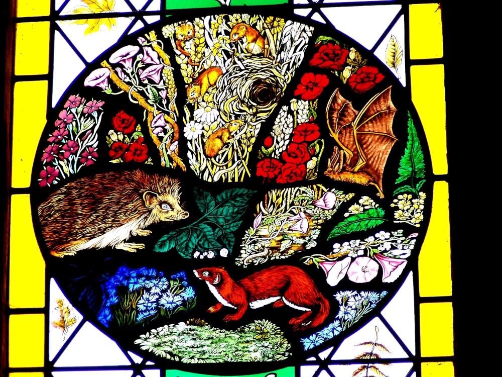 Gilbert White Memorial Window, Selborne, Hampshire