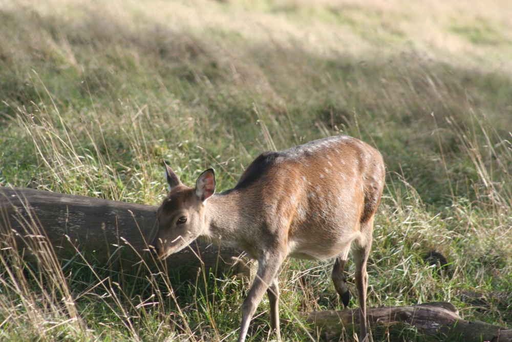 Photograph of Lunchtime