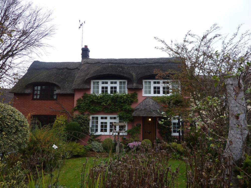 Thatched house