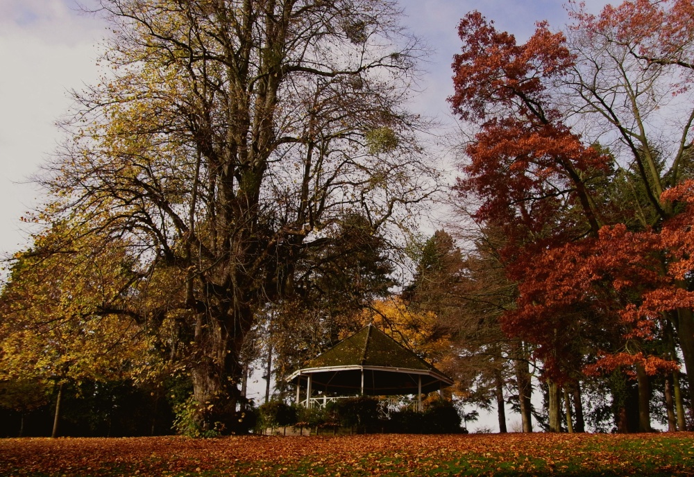 Photograph of Bandstand