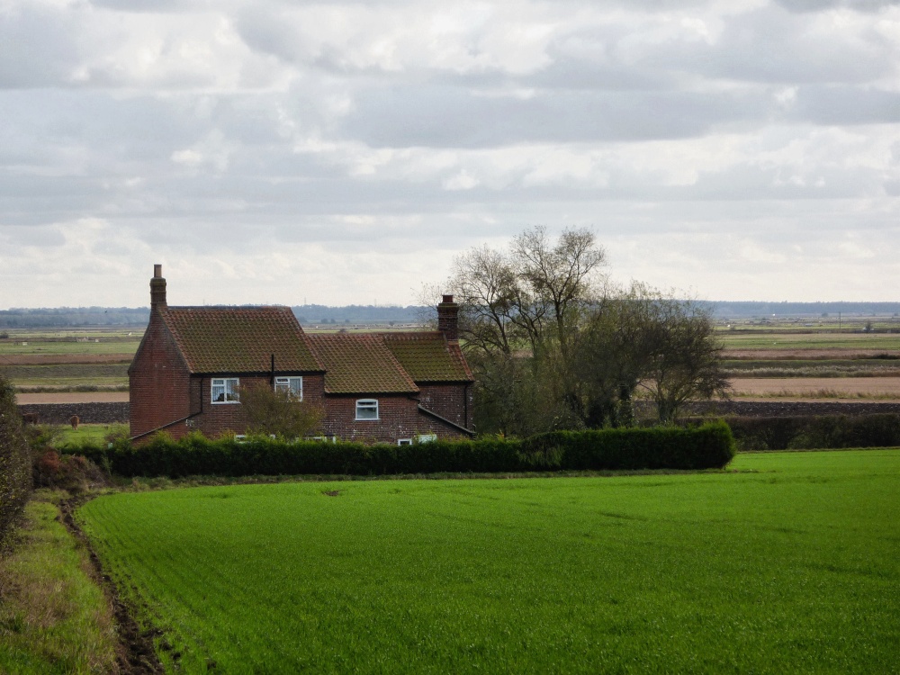 Isolated houses in Runham