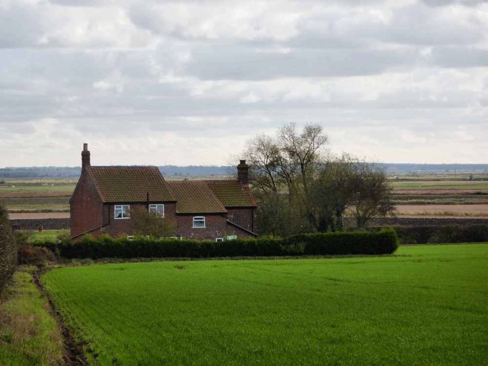 Photograph of Isolated houses in Runham