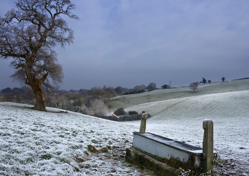 A Frost morning on Lodge Hill