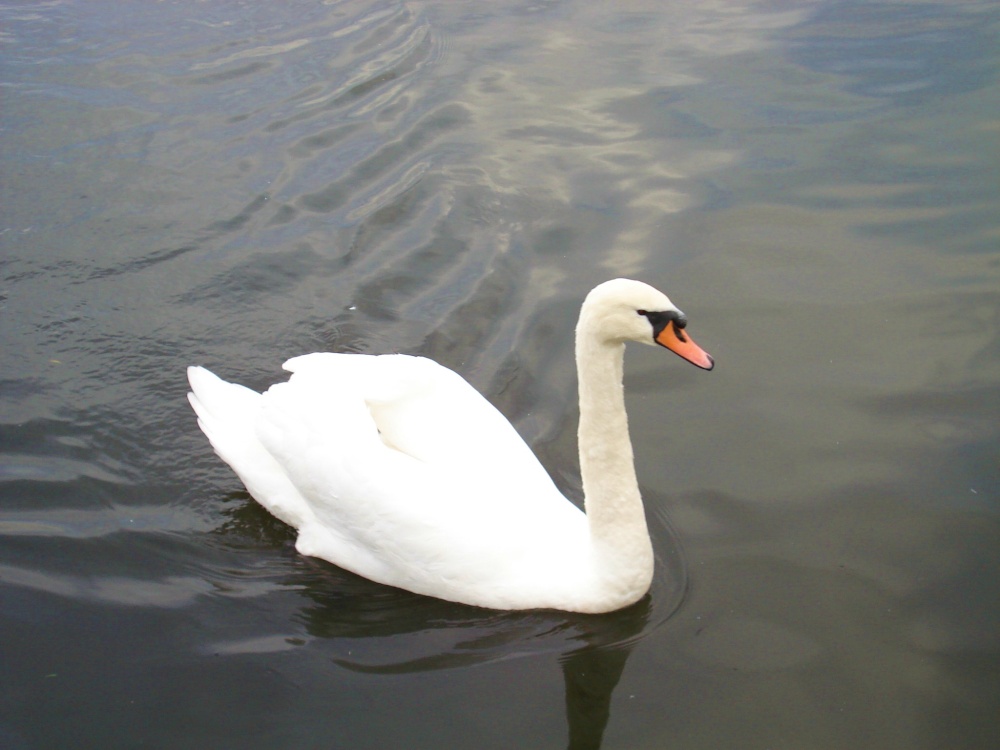 Hampton Court Palace