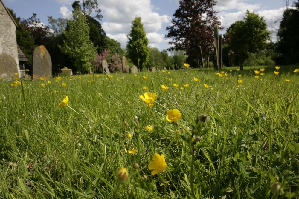 St Mary the Virgin Church, Horne