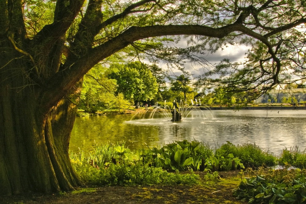 Photograph of Royal Botanic Gardens, Kew
