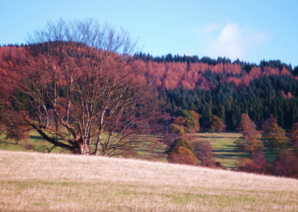 Kilmahog, Stirlingshire