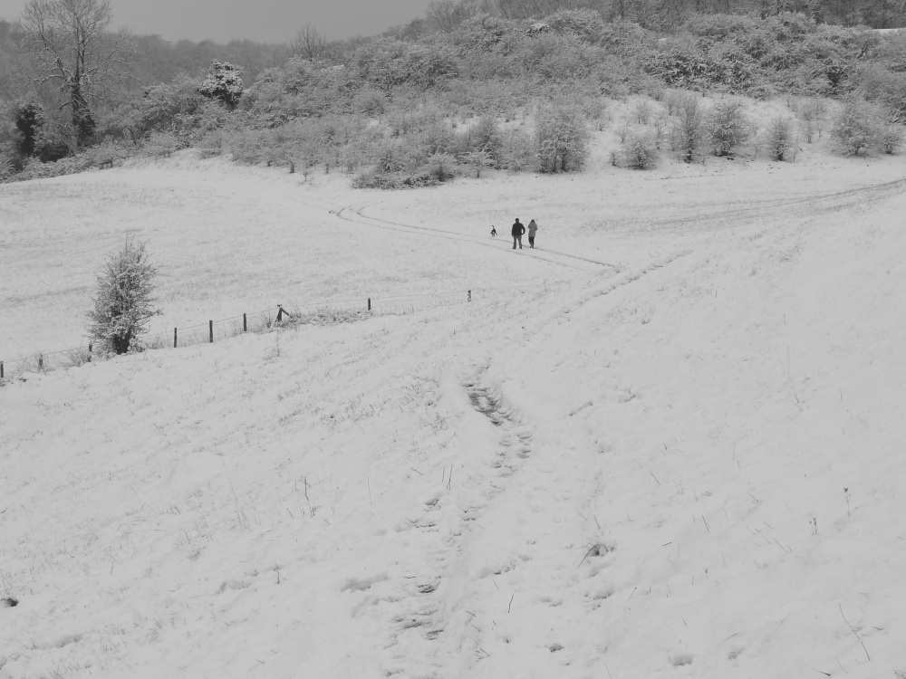 Went Valley in Winter 2008
