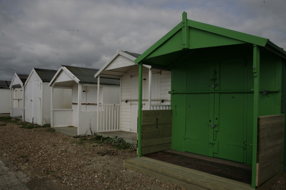 Odd one out in the green