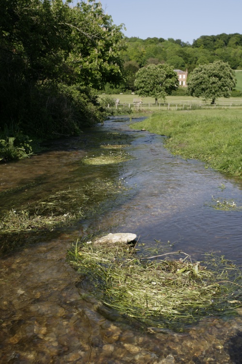 Village stream
