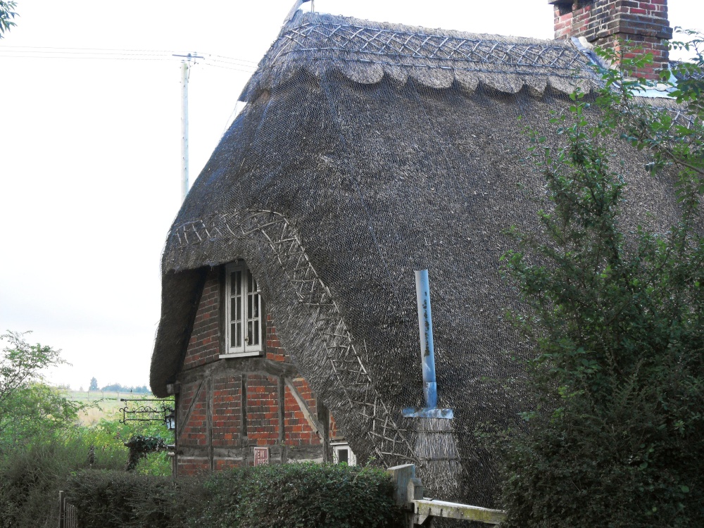 Photograph of House in Minstead