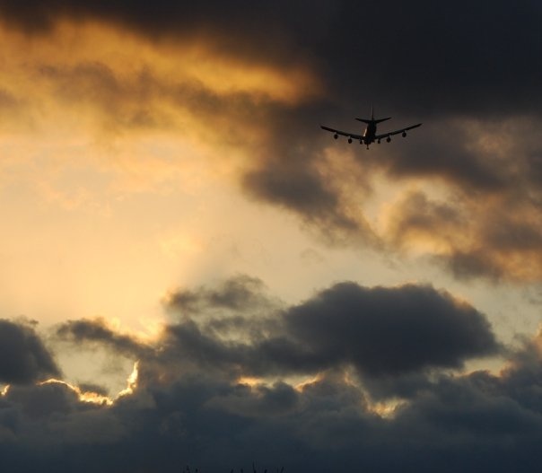 Under the flightpath