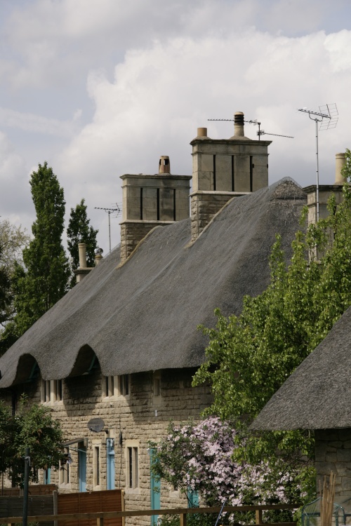 Cottages in village