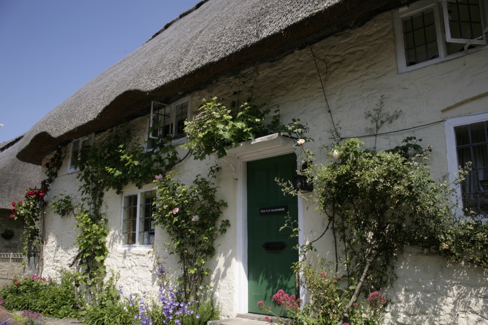 Cottage in village
