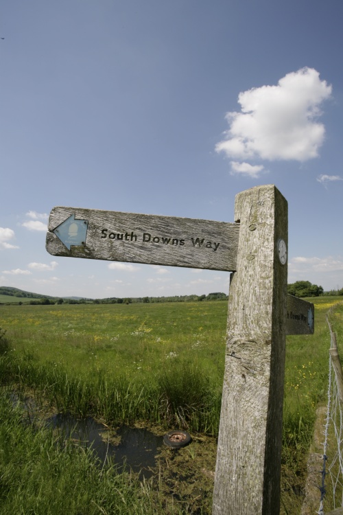 South Downs Way signpost