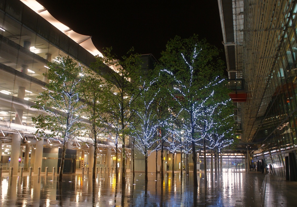 Terminal 5 -Outside photo by Sean Grogan