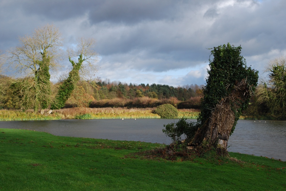 Photograph of Baconsthorpe Castle Meare