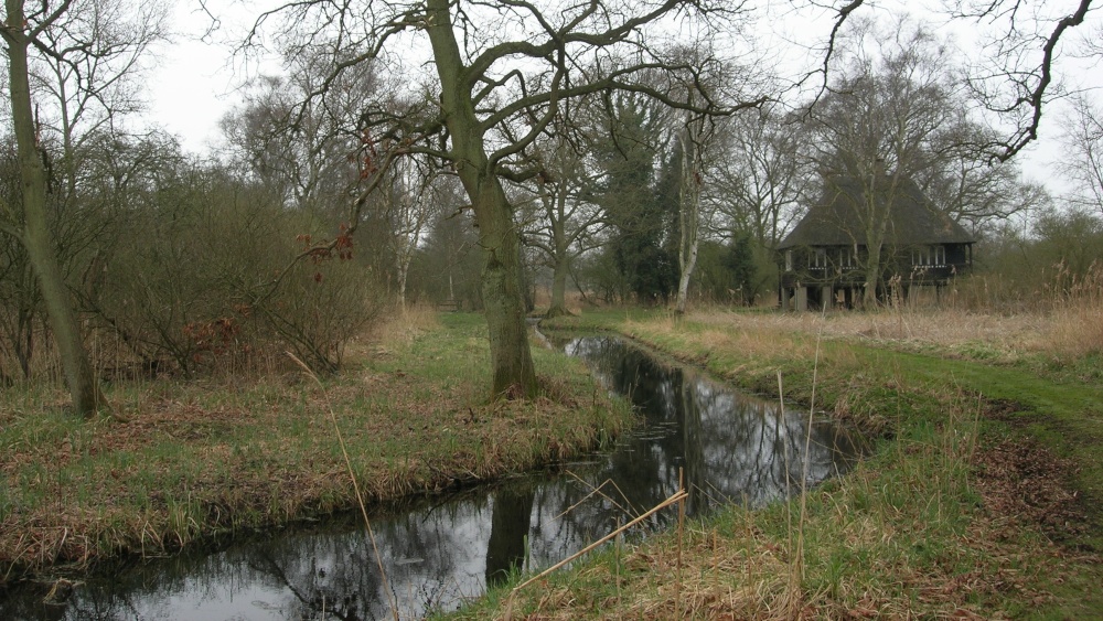 Woodwalton Fen