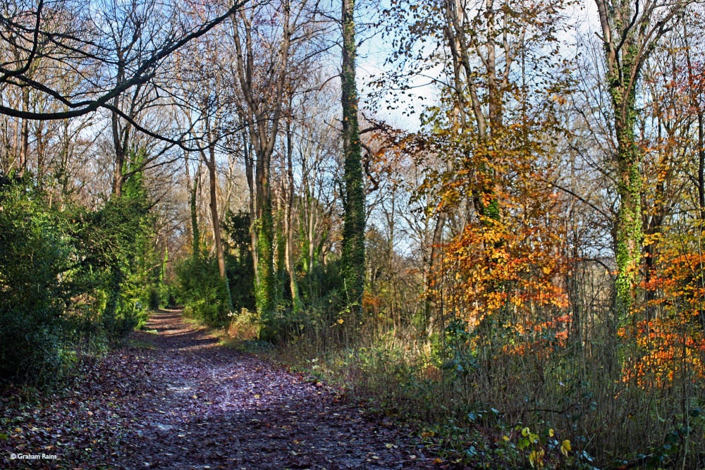 Blandford Forum in Dorset