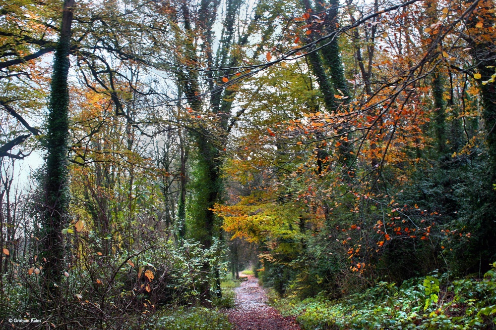 Blandford Forum in Dorset