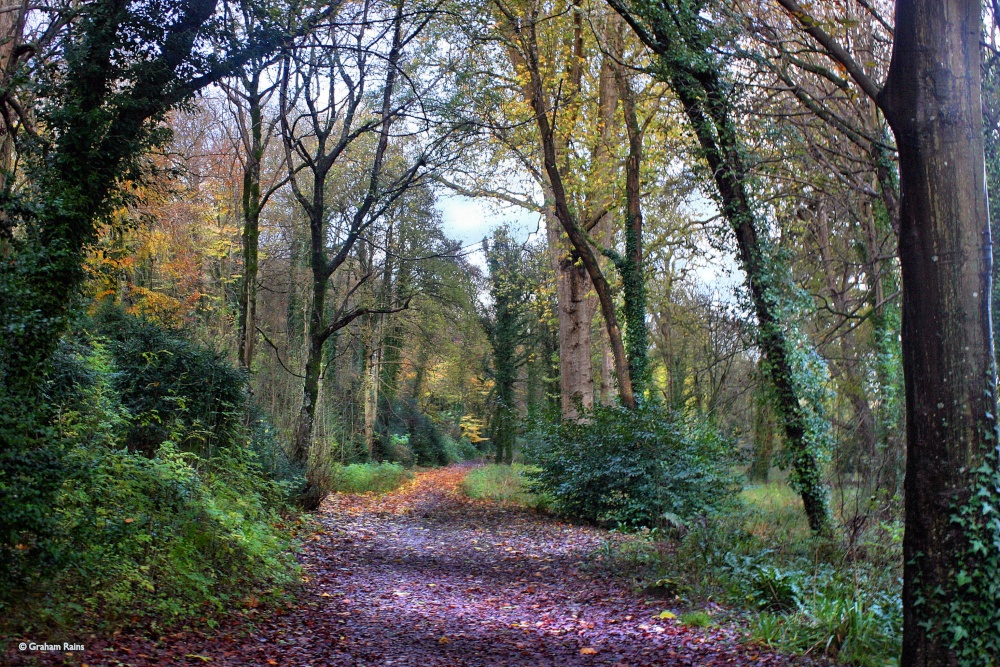 Blandford Forum in Dorset