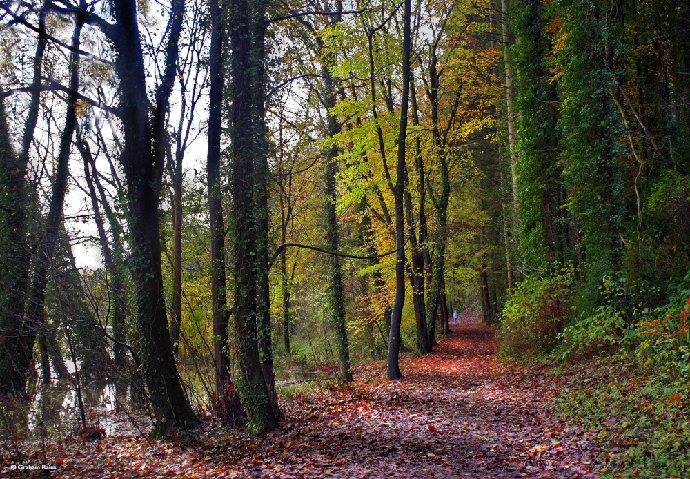Blandford Forum in Dorset