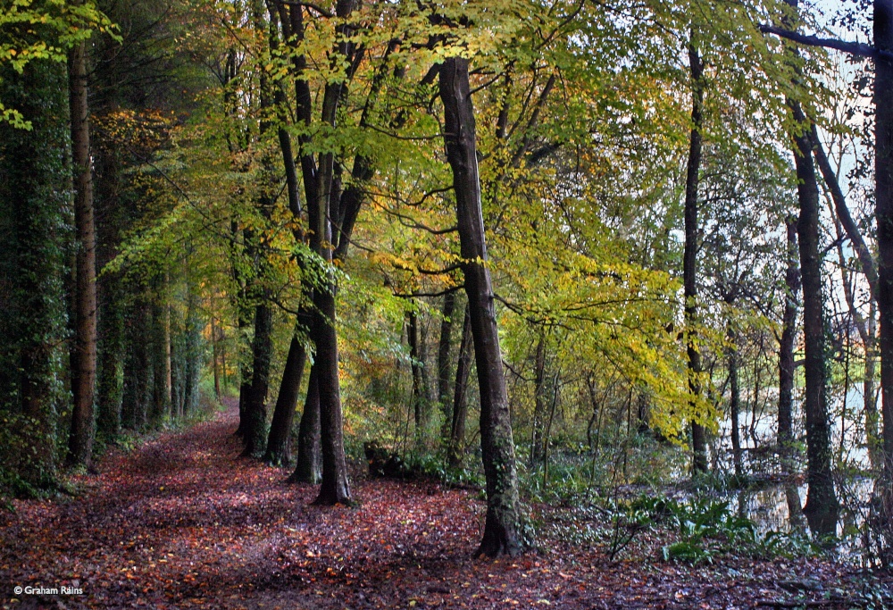 Blandford Forum in Dorset