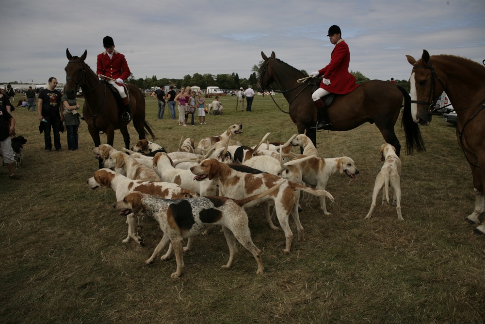 Edenbridge and Oxted Show photo by Adam Swaine