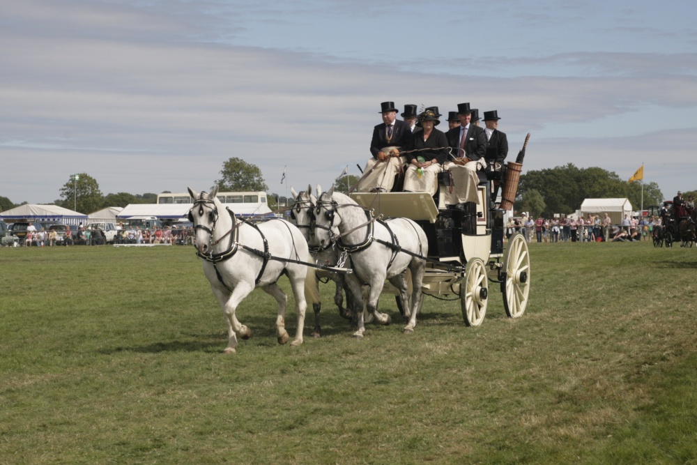 Edenbridge and Oxted Show photo by Adam Swaine