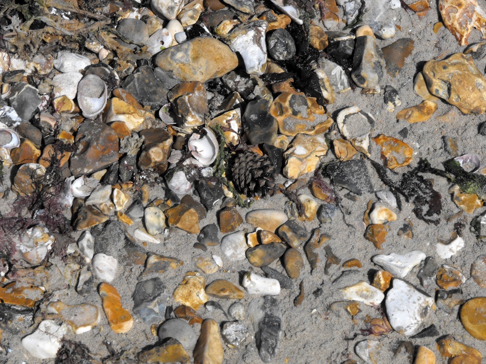 Christchurch collage