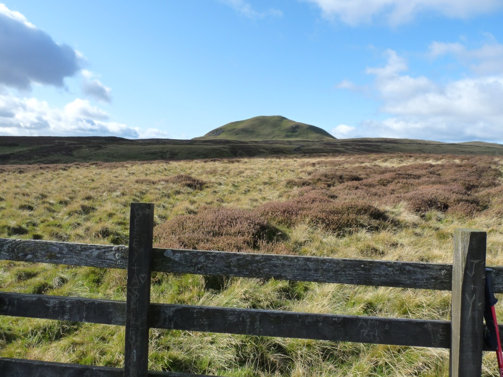 The Lomond Hills