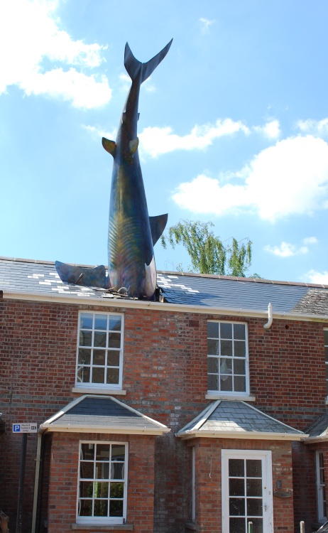 The Headington Shark