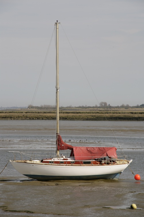 On the Estuary