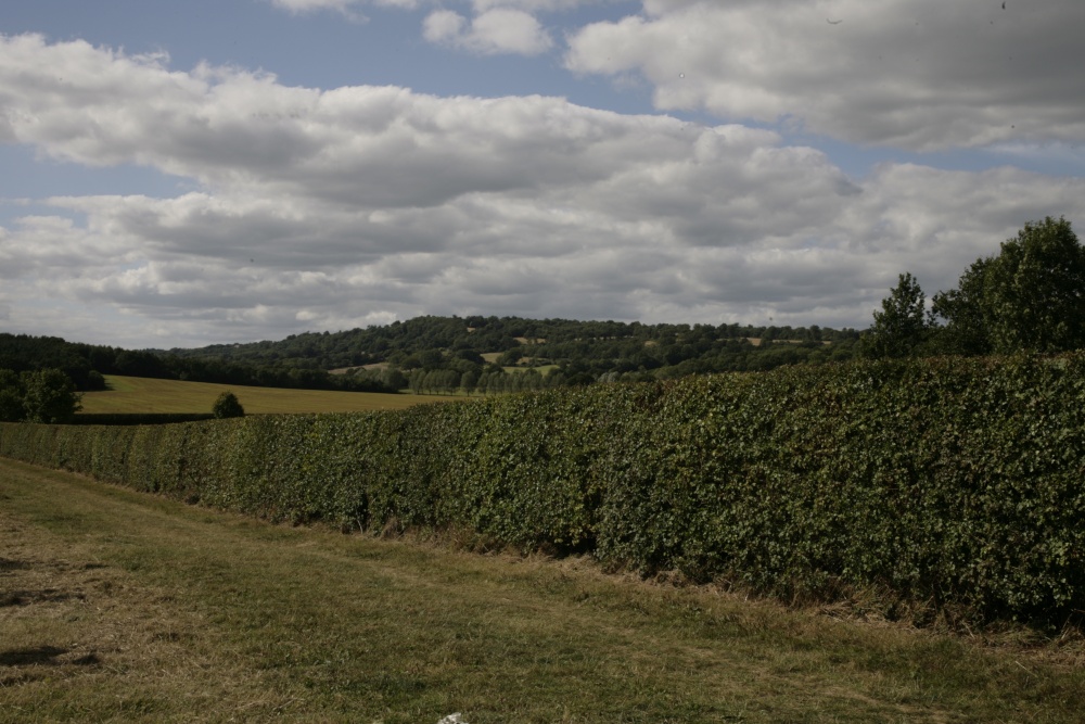 Photograph of Walk this way!!