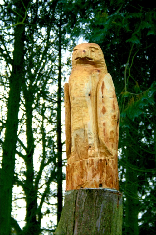 Art work in the woods at Nidd.