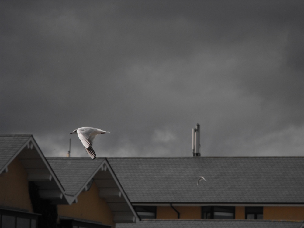 Threatening sky over Bettystown