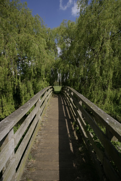 Small bridge in the park