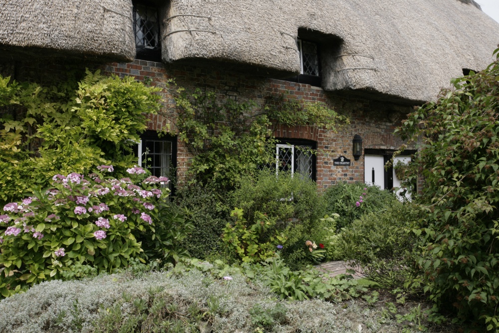 Cottage in village with flowers
