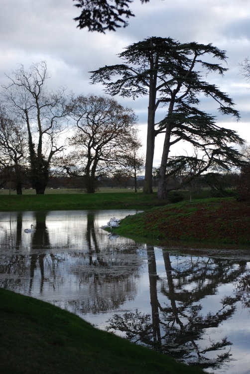 The lake at Croome Park in Winter