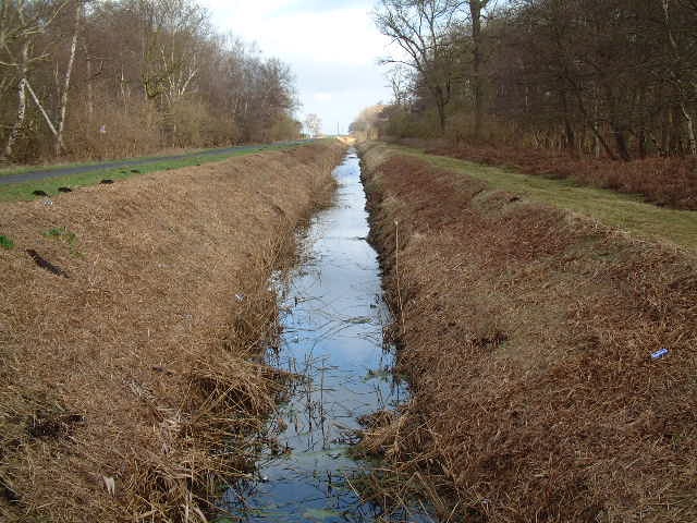 Holme Fen Drainage Ditch