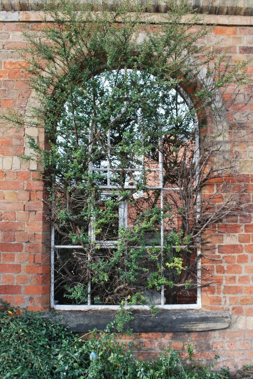 Derelict building by the River Trent