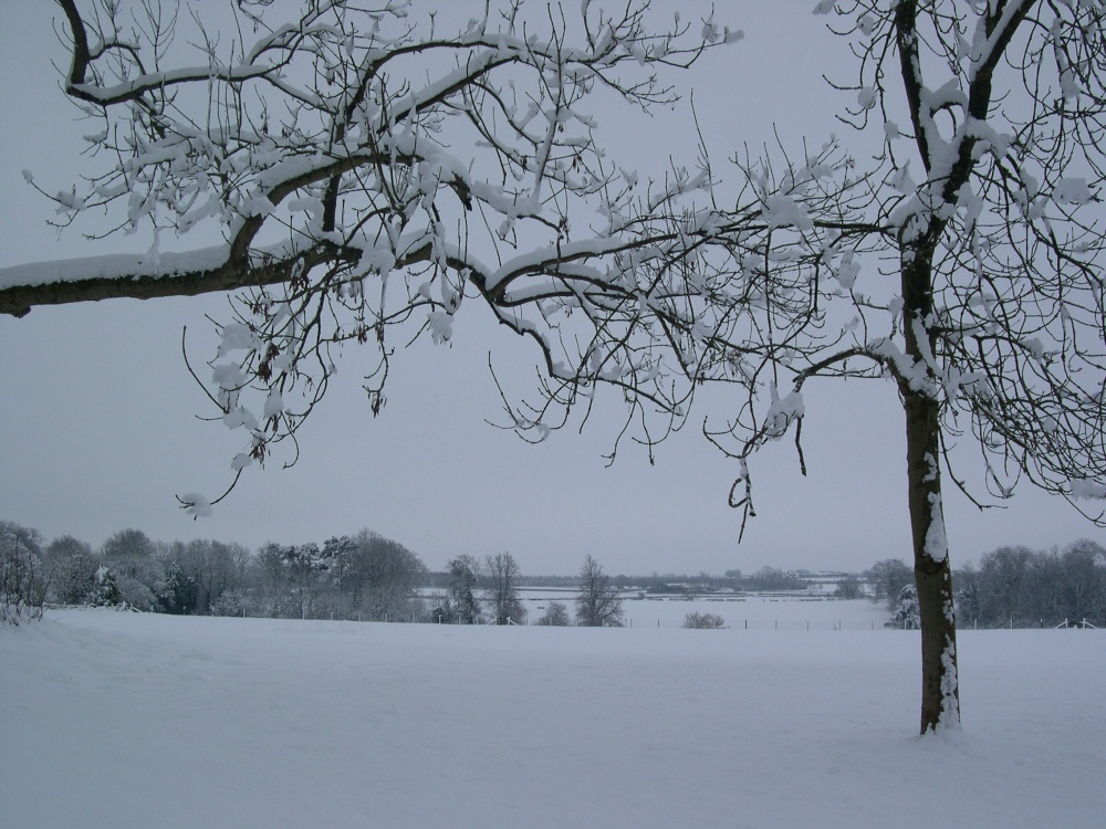 Photograph of Cricket Field, Culworth