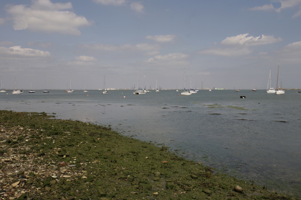 Photograph of View of Estuary