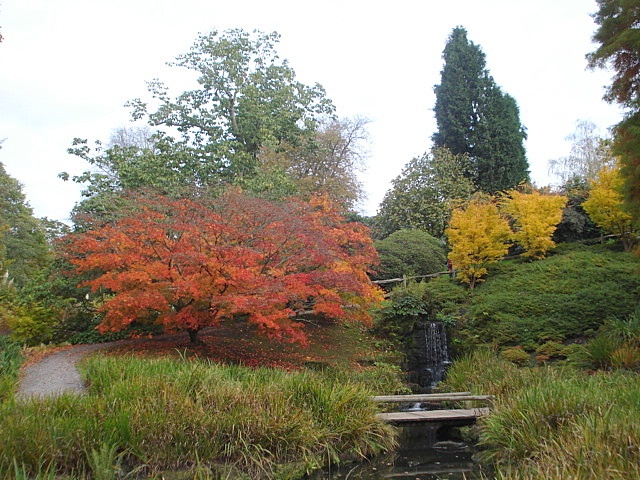 A Wakehurst Autumn