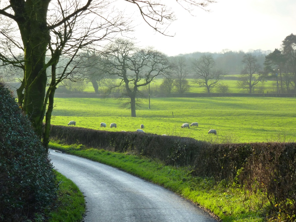 Photograph of Chipping