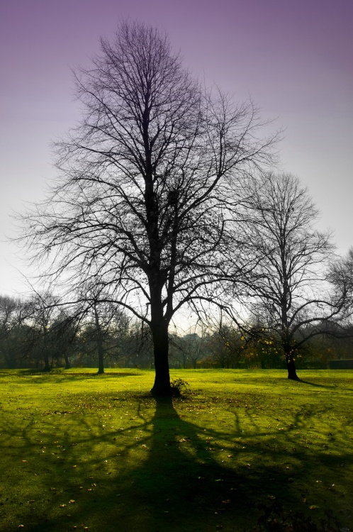 Clarkes Gardens in Autumn