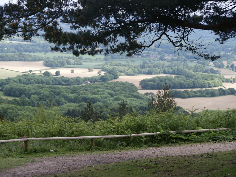 View from Leith Hill