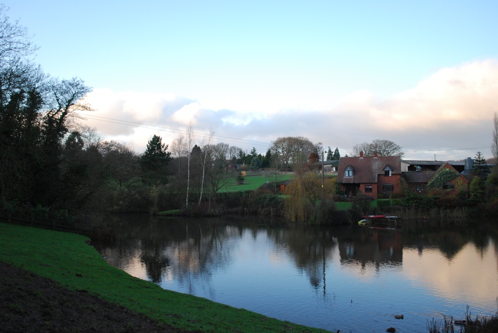 As the sun goes down at Bodenham Arboretum