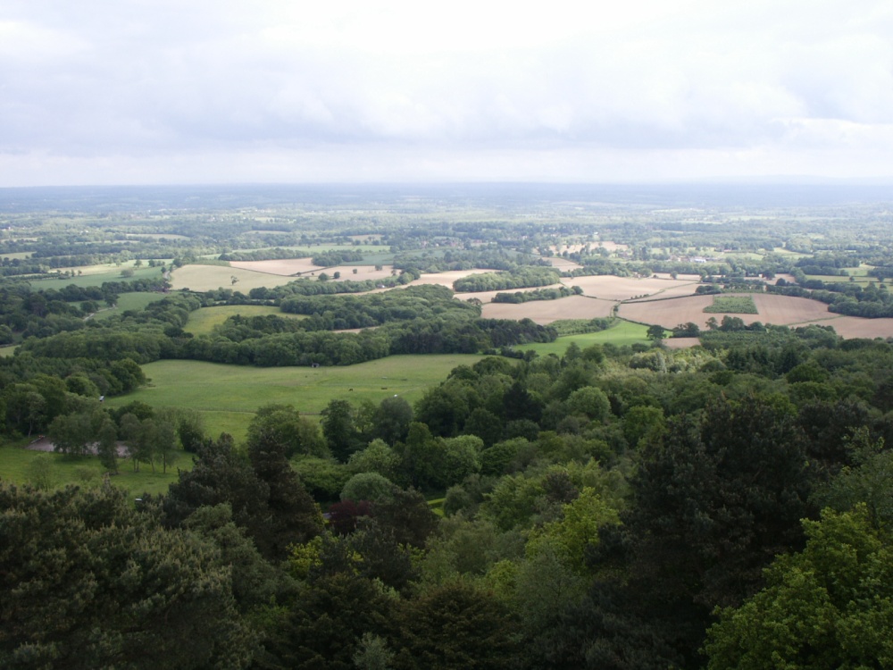 View from Lieth Hill photo by Thomas Crossley