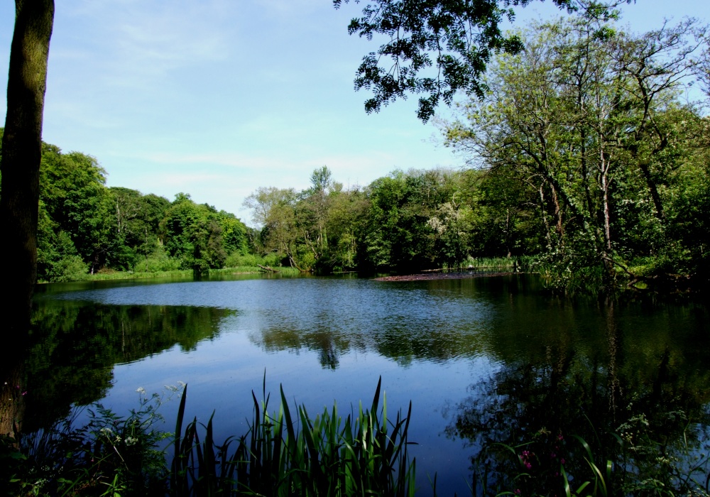 Lake view at Renishaw Hall photo by Martin Thirkettle